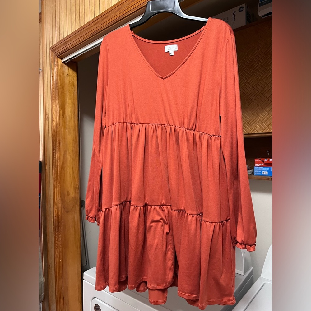 COPY - Long sleeve knee length dress size large